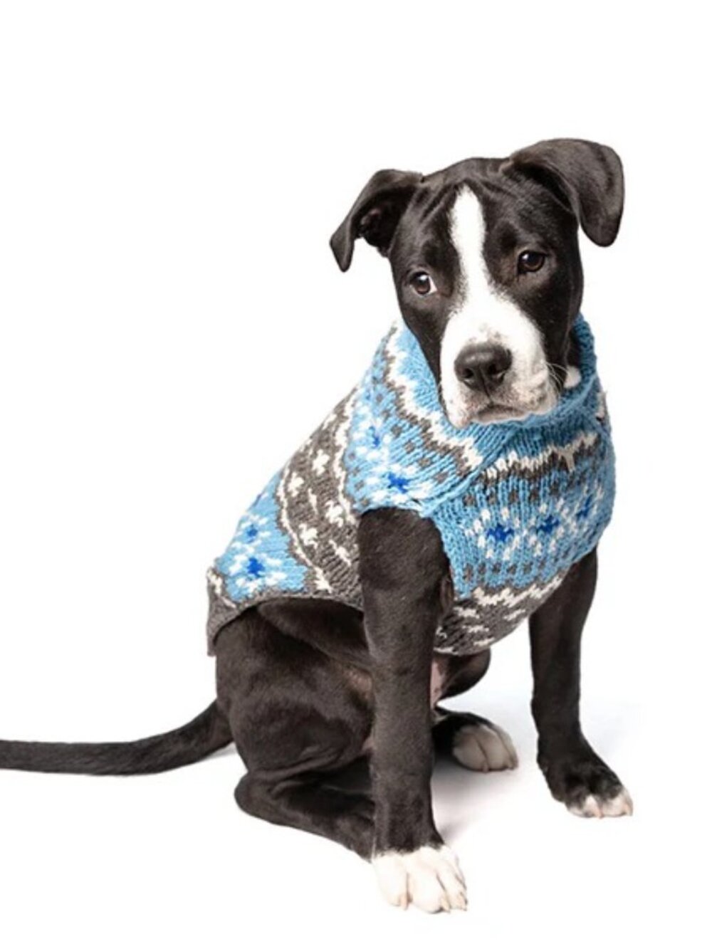 NWT Chilly Dog Light Blue Fair Isle Hand Knit Wool Dog Sweater
